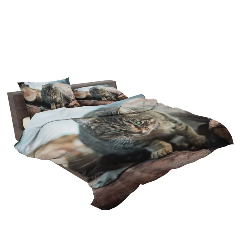 Green-Eyed Cat Mesmerizing Stare Bedding Set 2