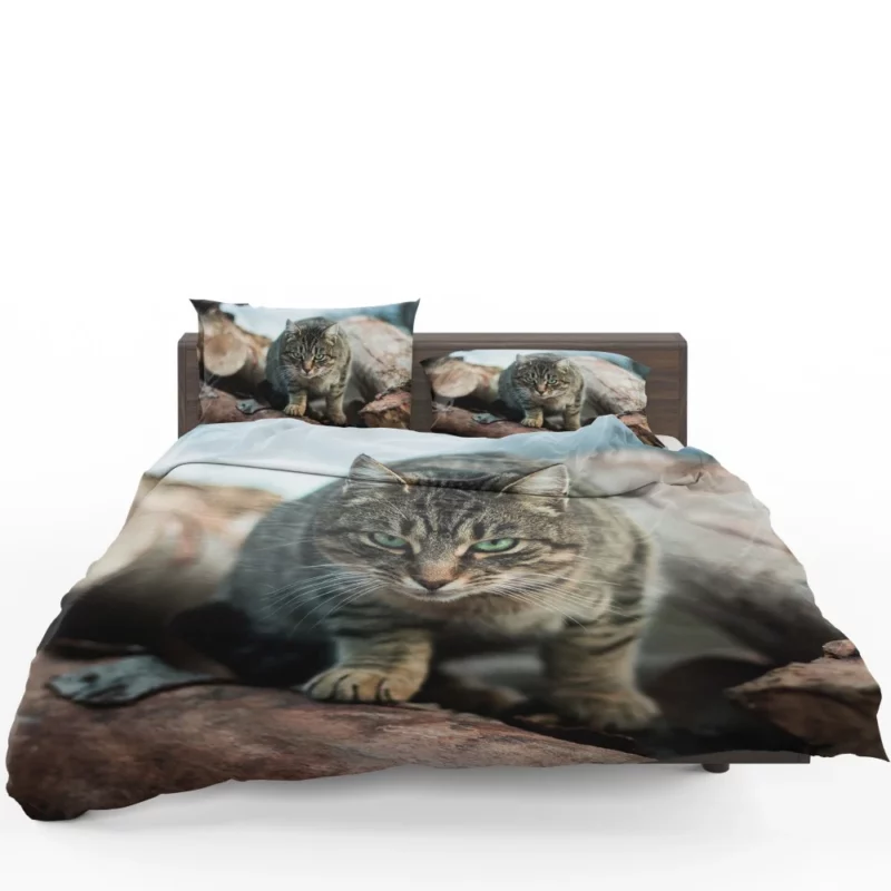 Green-Eyed Cat Mesmerizing Stare Bedding Set