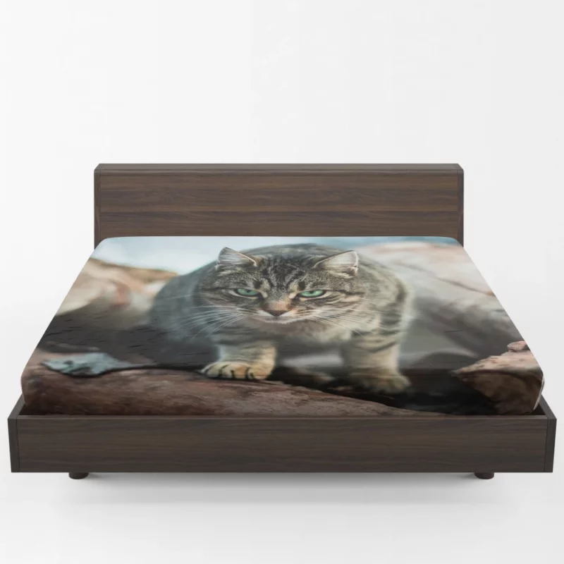 Green-Eyed Cat Mesmerizing Stare Fitted Sheet