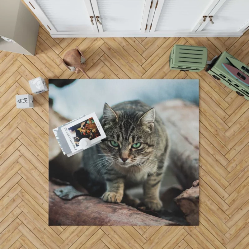 Green-Eyed Cat Mesmerizing Stare Rug