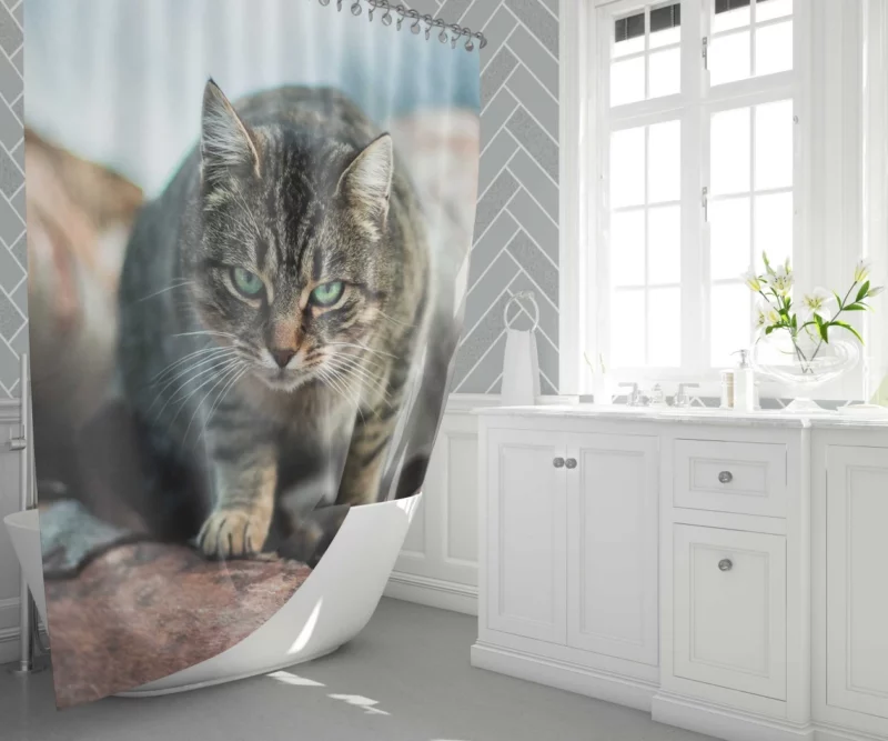 Green-Eyed Cat Mesmerizing Stare Shower Curtain 1