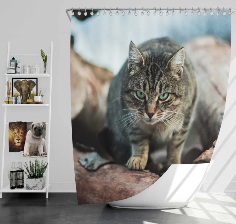 Green-Eyed Cat Mesmerizing Stare Shower Curtain