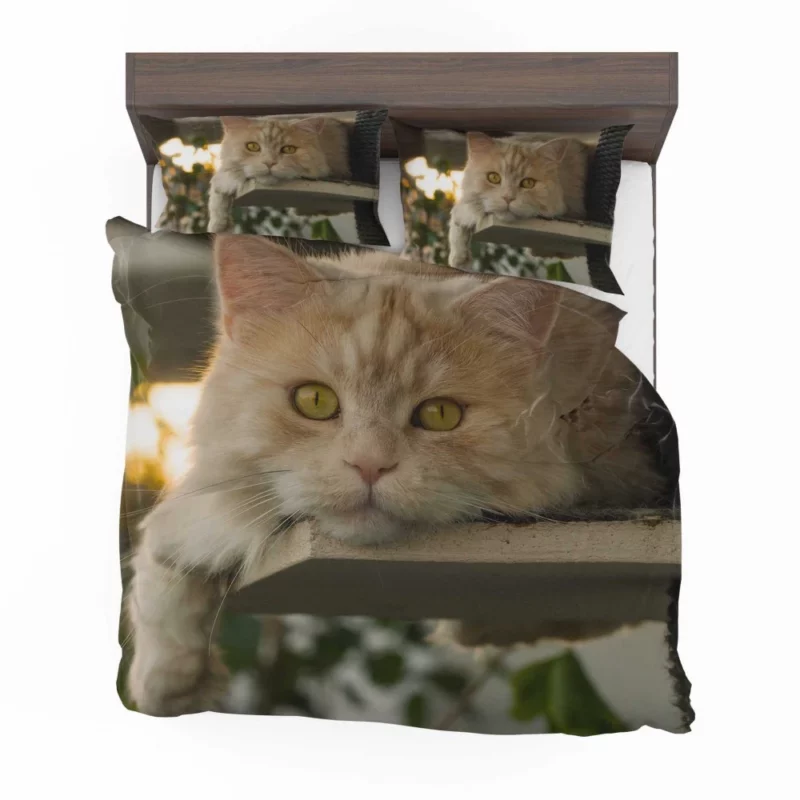 Green-Eyed Cat Mysterious Gaze Bedding Set 1