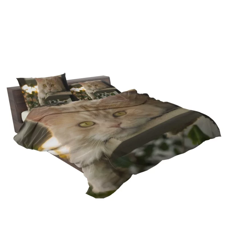 Green-Eyed Cat Mysterious Gaze Bedding Set 2