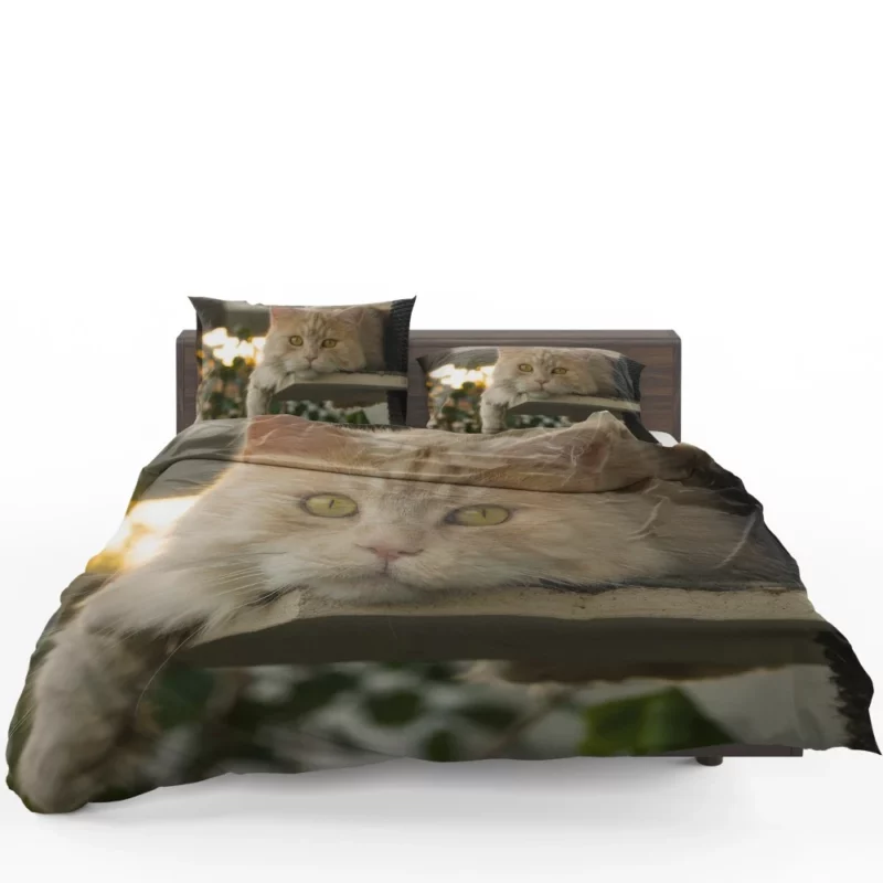 Green-Eyed Cat Mysterious Gaze Bedding Set