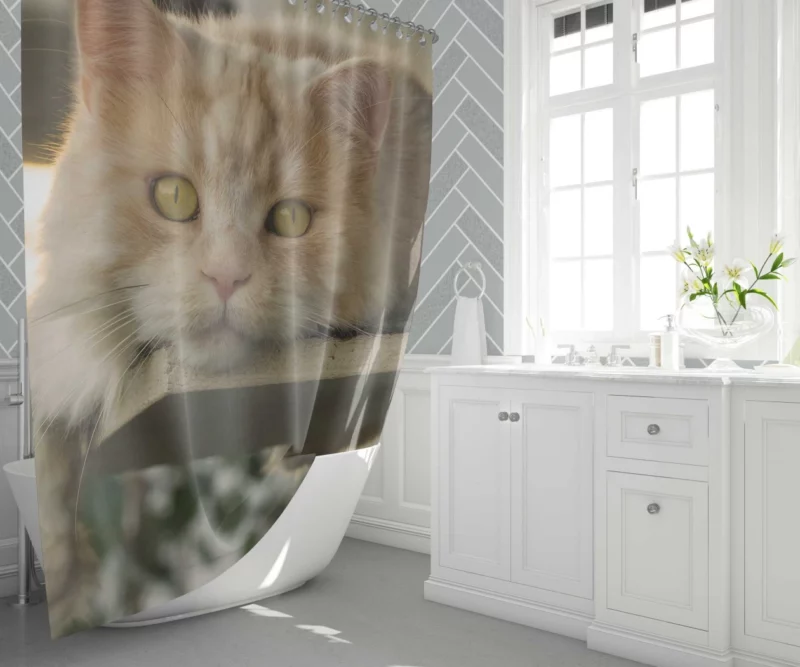 Green-Eyed Cat Mysterious Gaze Shower Curtain 1