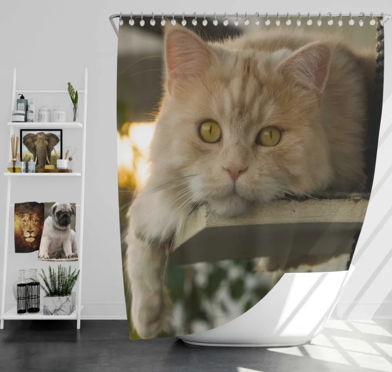 Green-Eyed Cat Mysterious Gaze Shower Curtain