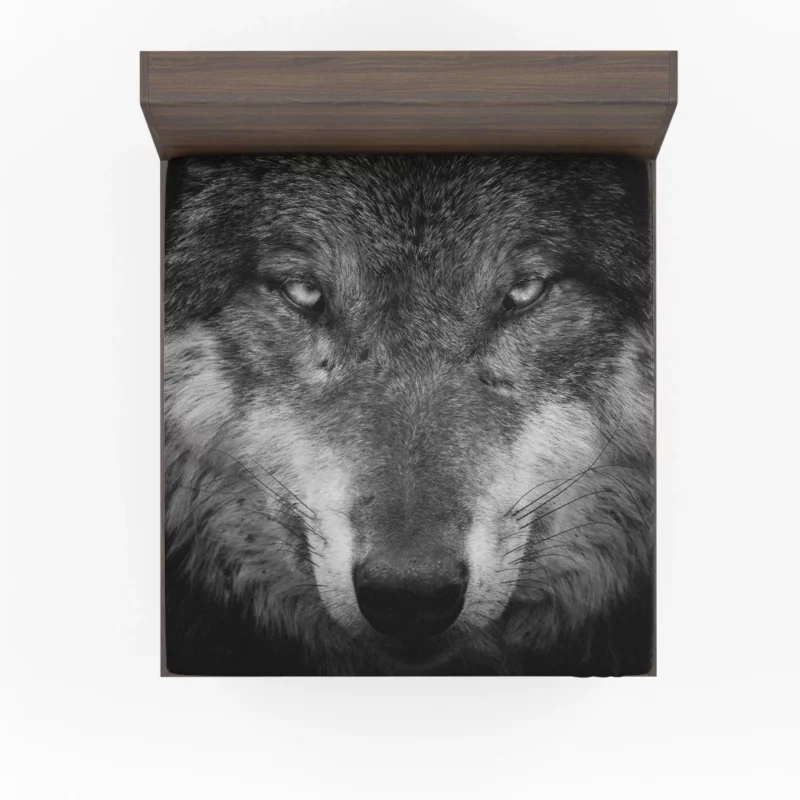 Grey Wolf Hypnotic Stare Enigmatic Aura Fitted Sheet 1