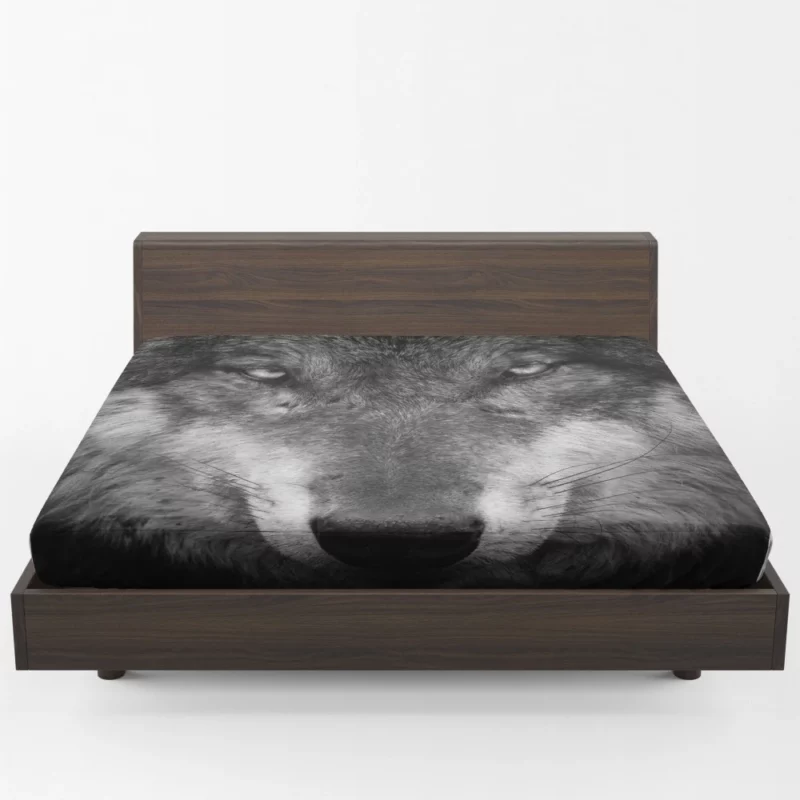 Grey Wolf Hypnotic Stare Enigmatic Aura Fitted Sheet