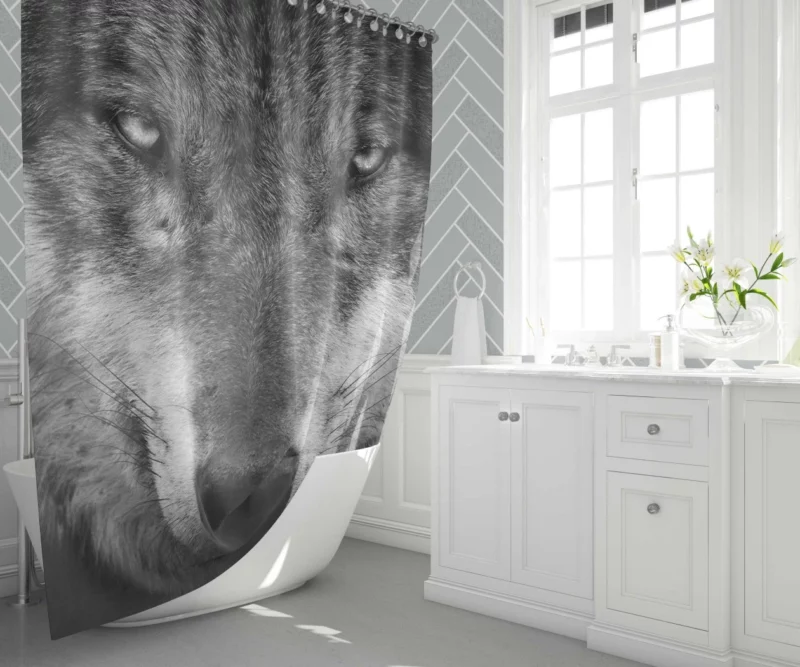 Grey Wolf Hypnotic Stare Enigmatic Aura Shower Curtain 1