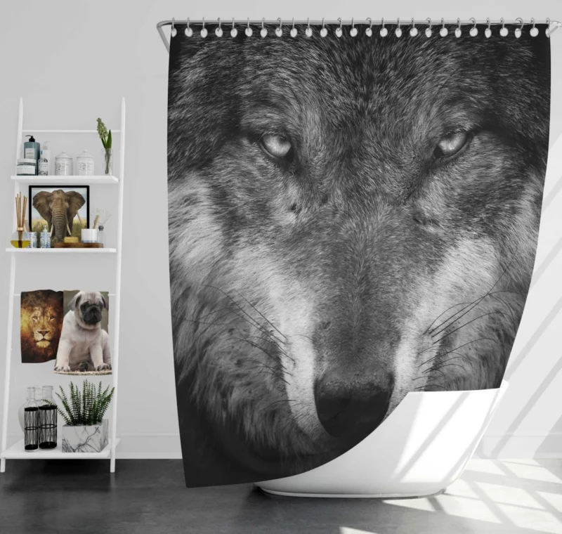 Grey Wolf Hypnotic Stare Enigmatic Aura Shower Curtain