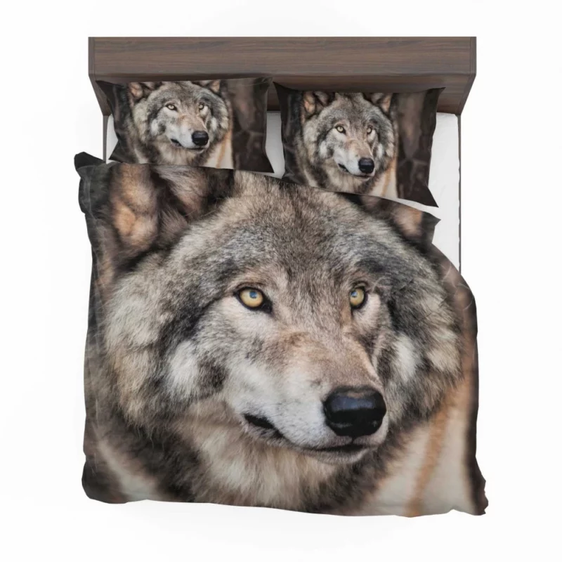 Grey Wolf Mysterious Charm Bedding Set 1