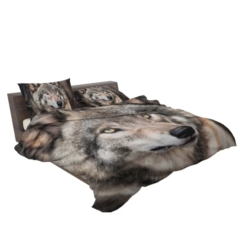 Grey Wolf Mysterious Charm Bedding Set 2