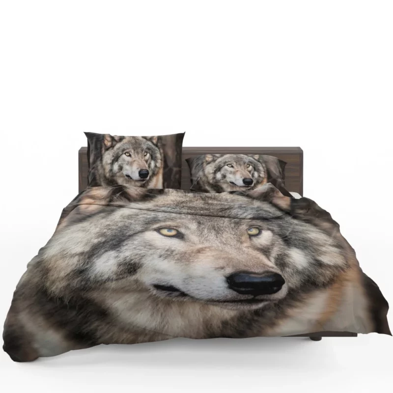 Grey Wolf Mysterious Charm Bedding Set