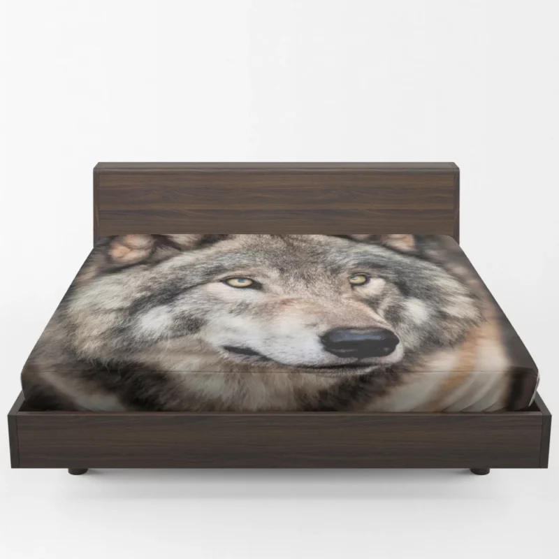 Grey Wolf Mysterious Charm Fitted Sheet