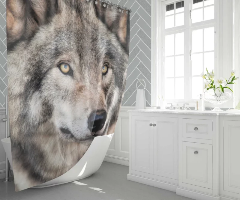 Grey Wolf Mysterious Charm Shower Curtain 1