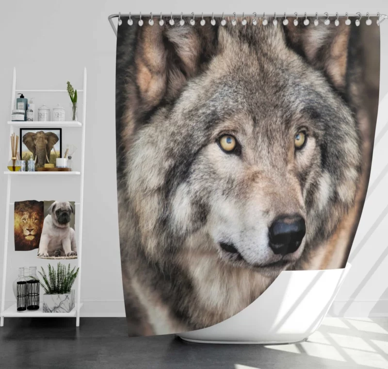 Grey Wolf Mysterious Charm Shower Curtain