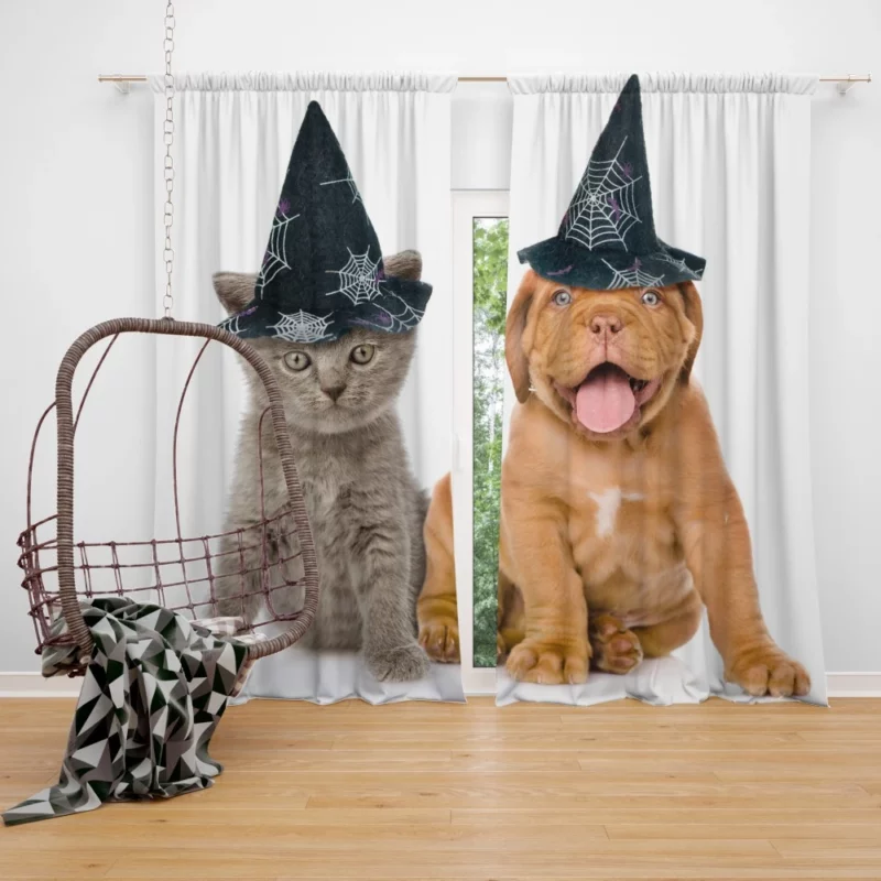 Halloween Duo Witchy Puppy and Kitten Curtain