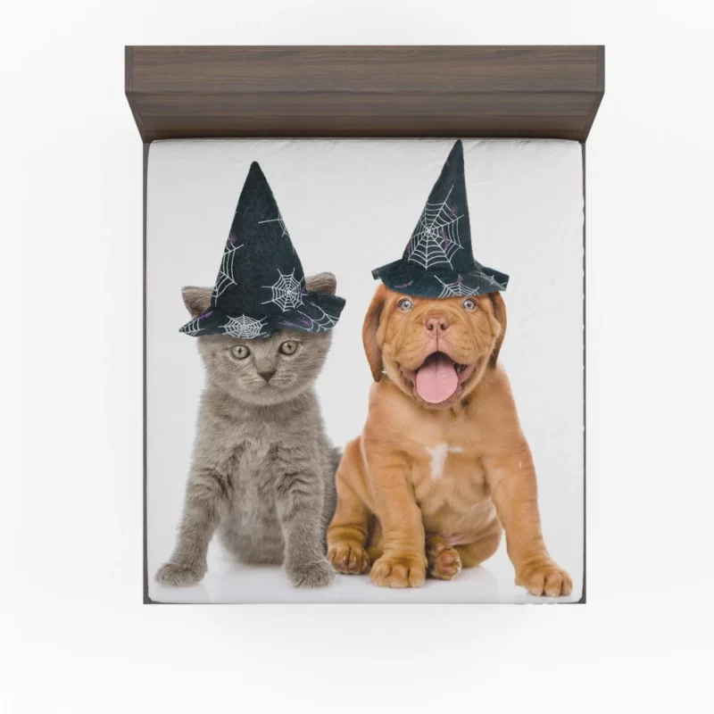 Halloween Duo Witchy Puppy and Kitten Fitted Sheet 1