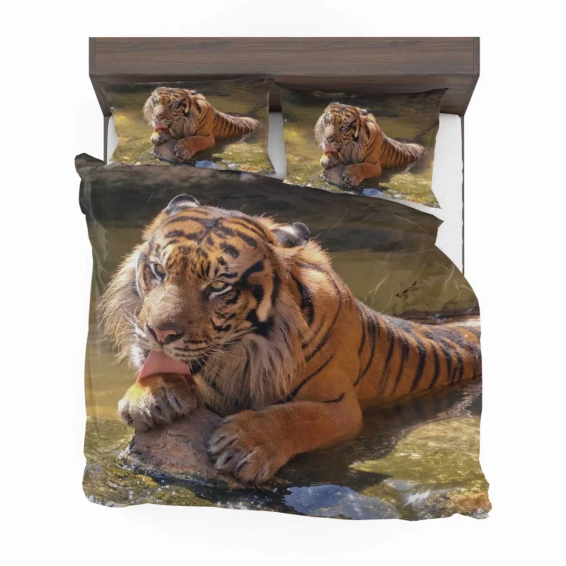 Happy and Cool Sumatran Tiger Zoo Story Bedding Set 1