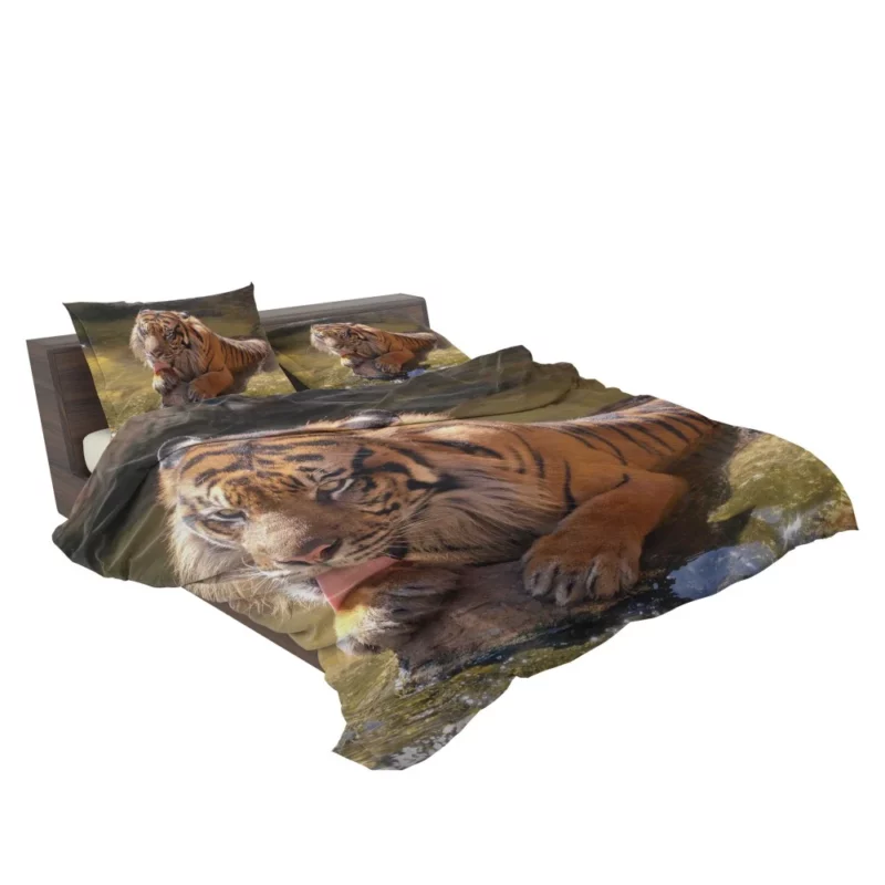 Happy and Cool Sumatran Tiger Zoo Story Bedding Set 2