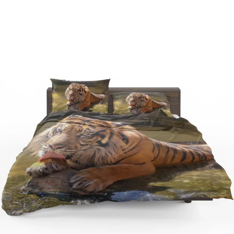 Happy and Cool Sumatran Tiger Zoo Story Bedding Set