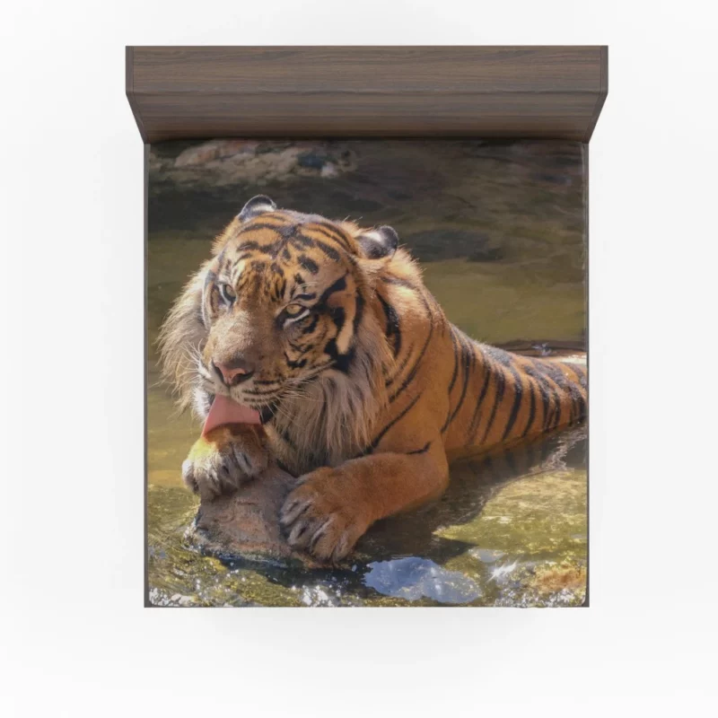 Happy and Cool Sumatran Tiger Zoo Story Fitted Sheet 1