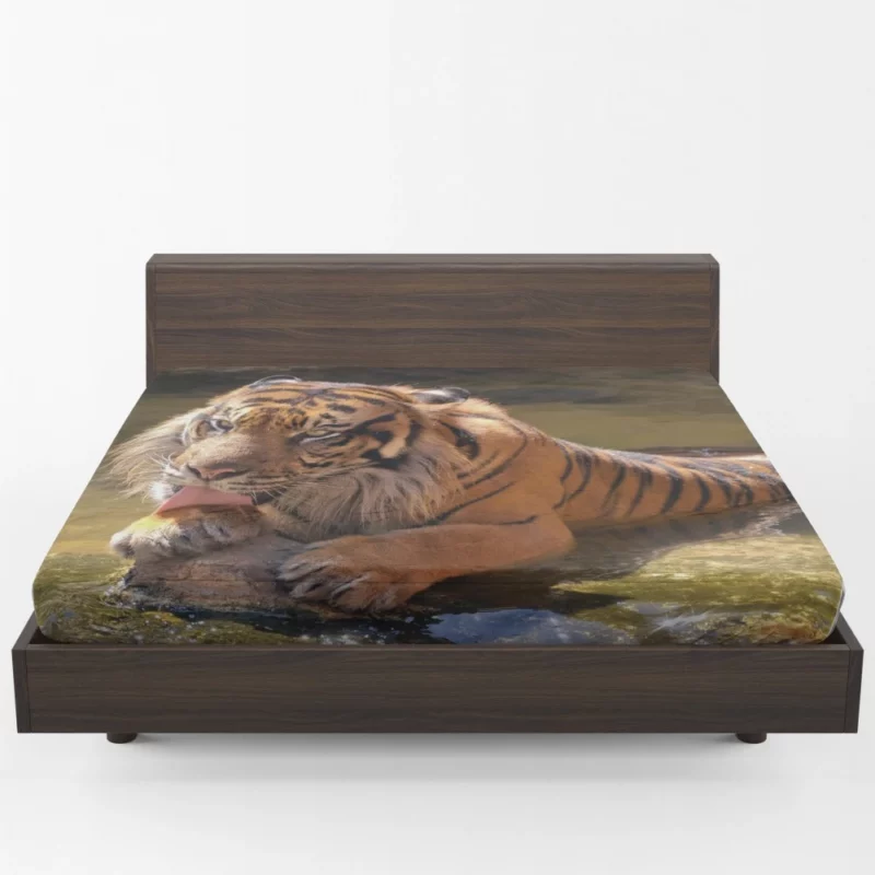 Happy and Cool Sumatran Tiger Zoo Story Fitted Sheet