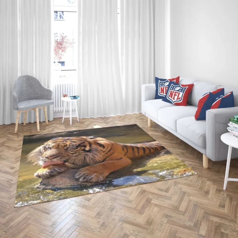 Happy and Cool Sumatran Tiger Zoo Story Rug 2