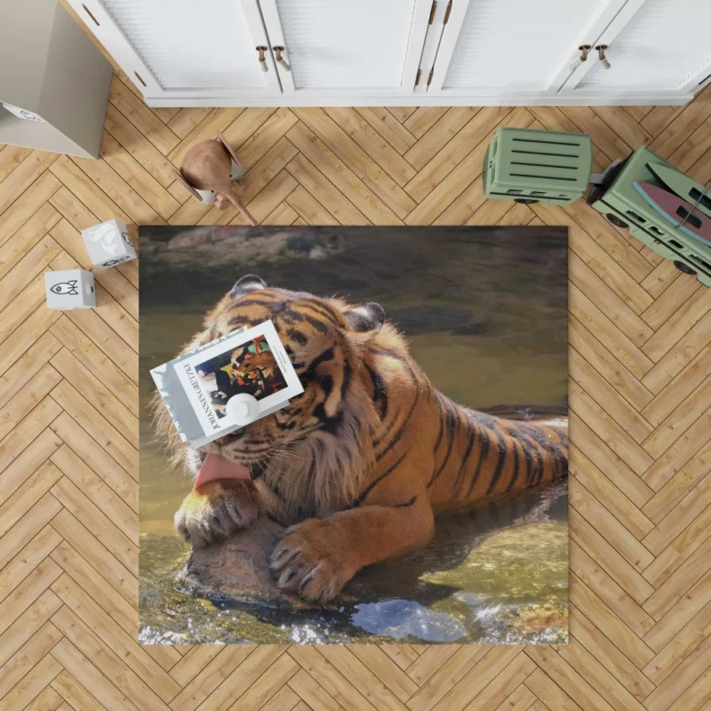 Happy and Cool Sumatran Tiger Zoo Story Rug