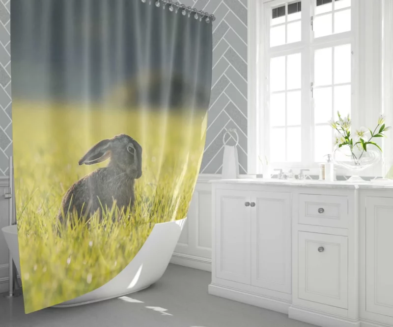 Hare Grassland Pause Silent Observer Shower Curtain 1