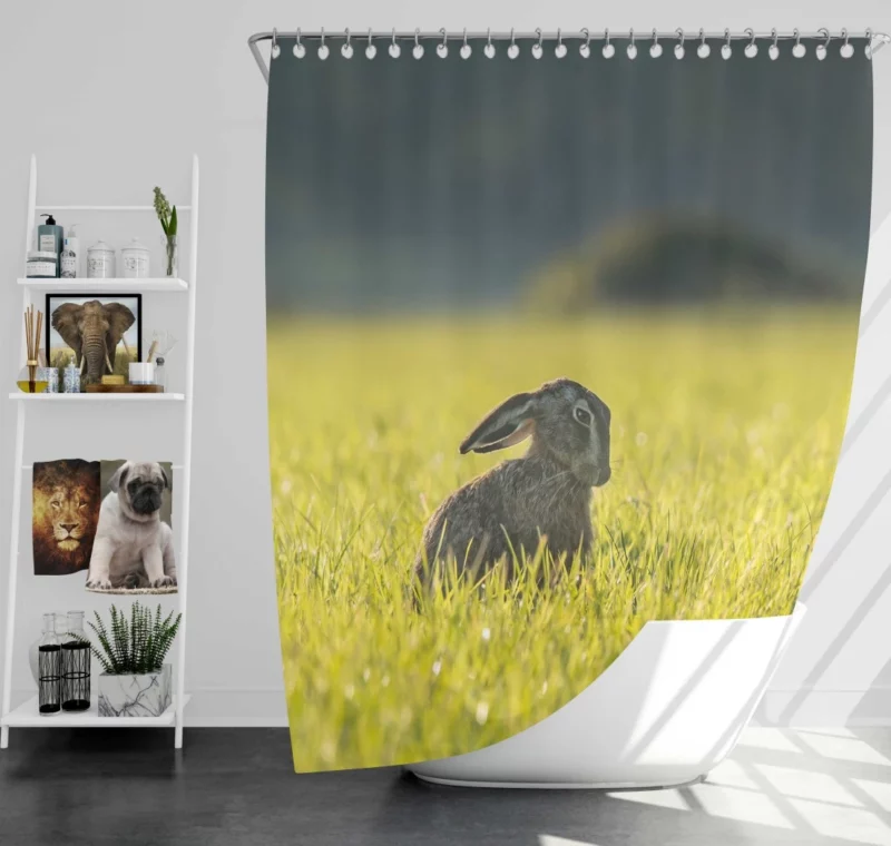 Hare Grassland Pause Silent Observer Shower Curtain