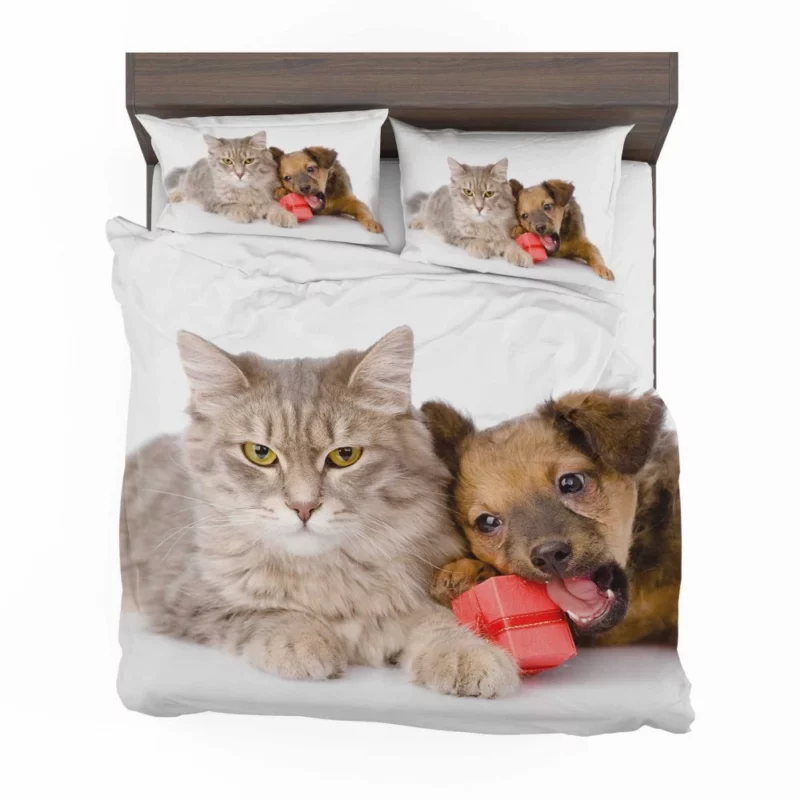 Harmonious Companions Feline and Canine Bedding Set 1