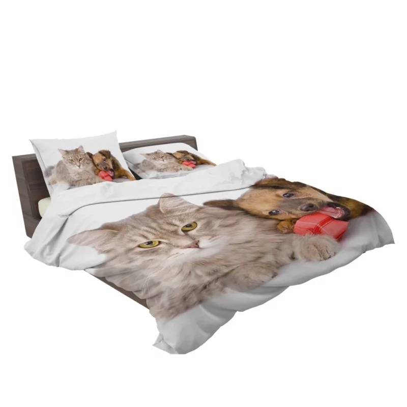 Harmonious Companions Feline and Canine Bedding Set 2