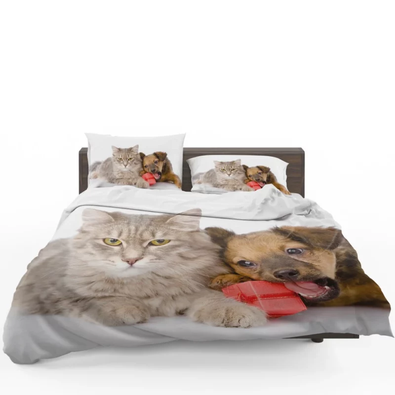 Harmonious Companions Feline and Canine Bedding Set