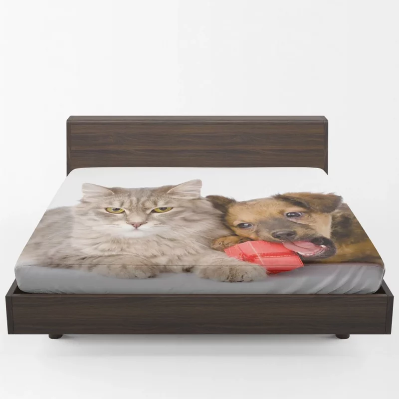 Harmonious Companions Feline and Canine Fitted Sheet