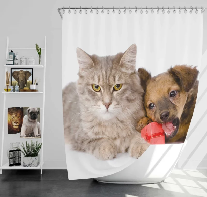 Harmonious Companions Feline and Canine Shower Curtain