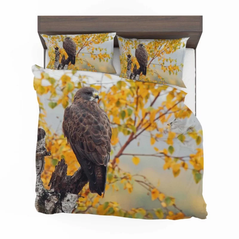 Hawk Aerial Prowess Sky Hunter Bedding Set 1