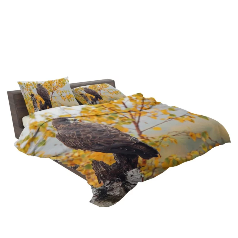 Hawk Aerial Prowess Sky Hunter Bedding Set 2