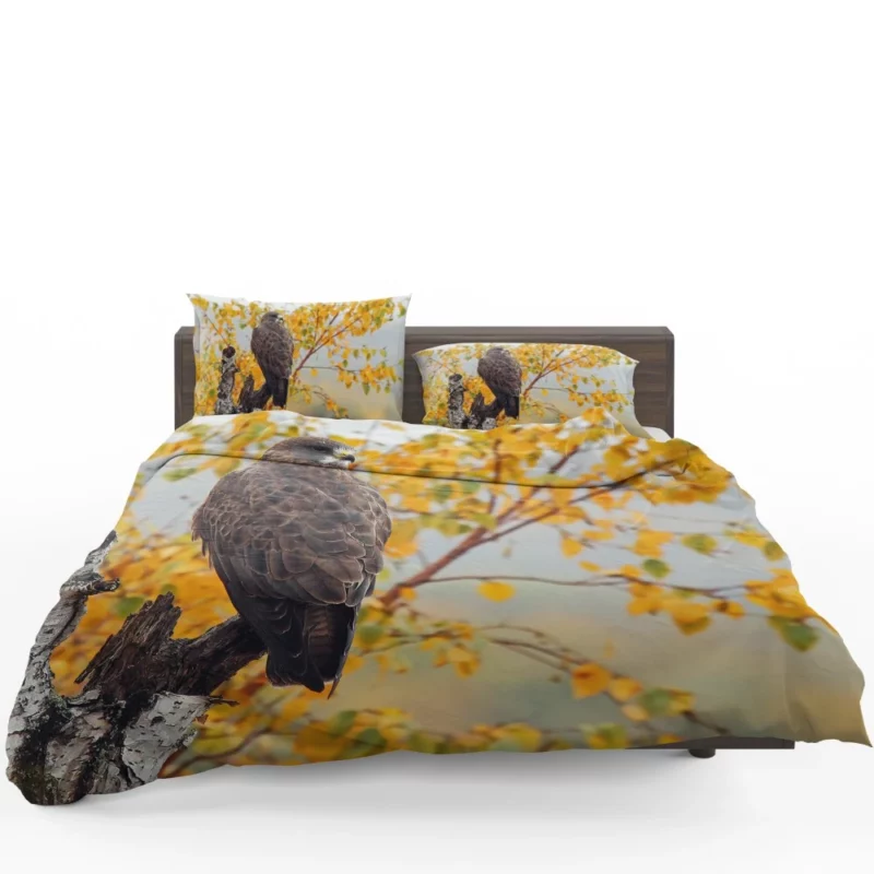 Hawk Aerial Prowess Sky Hunter Bedding Set