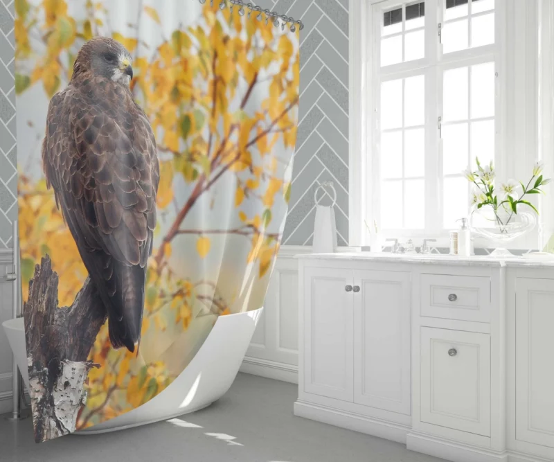 Hawk Aerial Prowess Sky Hunter Shower Curtain 1