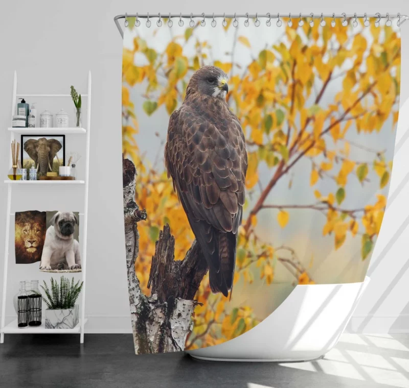 Hawk Aerial Prowess Sky Hunter Shower Curtain