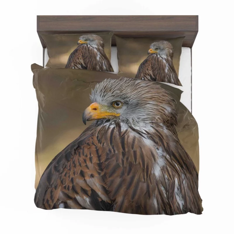 Hawk Fierce Gaze Aerial Dominance Bedding Set 1