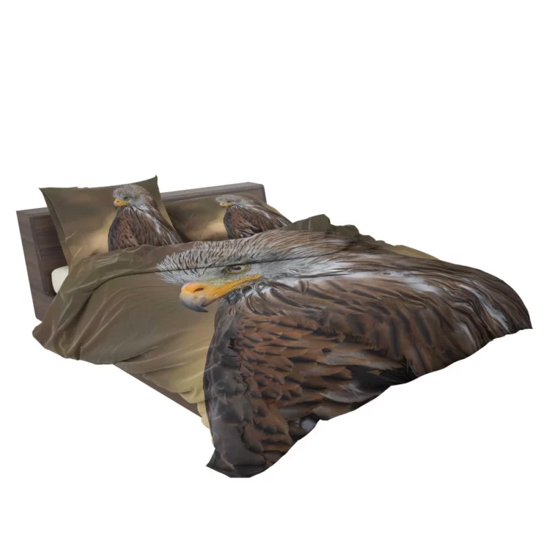 Hawk Fierce Gaze Aerial Dominance Bedding Set 2