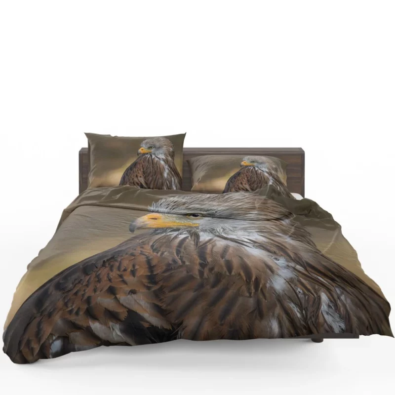 Hawk Fierce Gaze Aerial Dominance Bedding Set