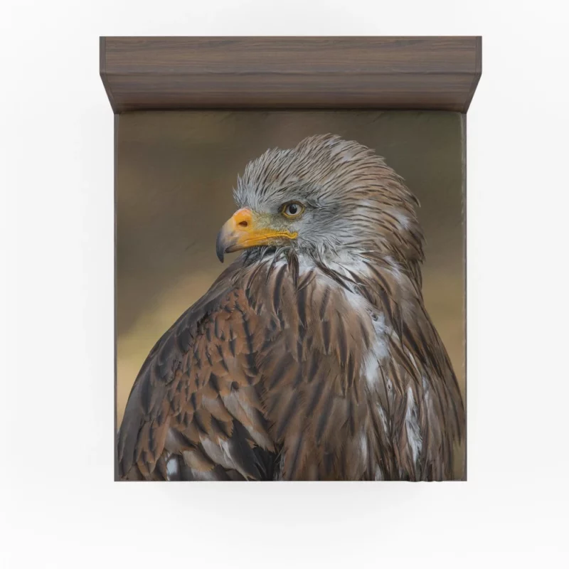 Hawk Fierce Gaze Aerial Dominance Fitted Sheet 1