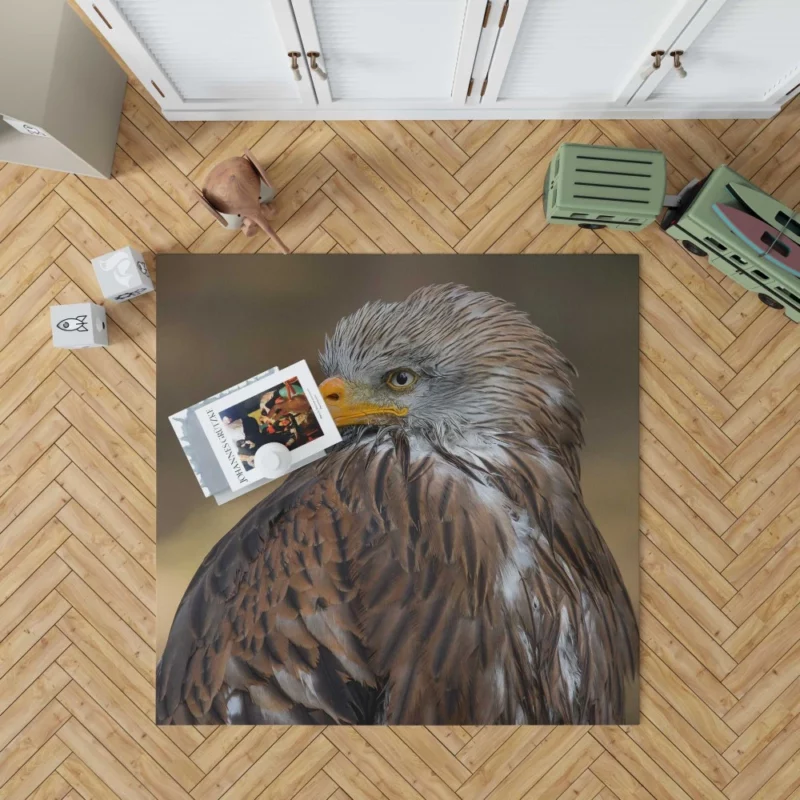 Hawk Fierce Gaze Aerial Dominance Rug