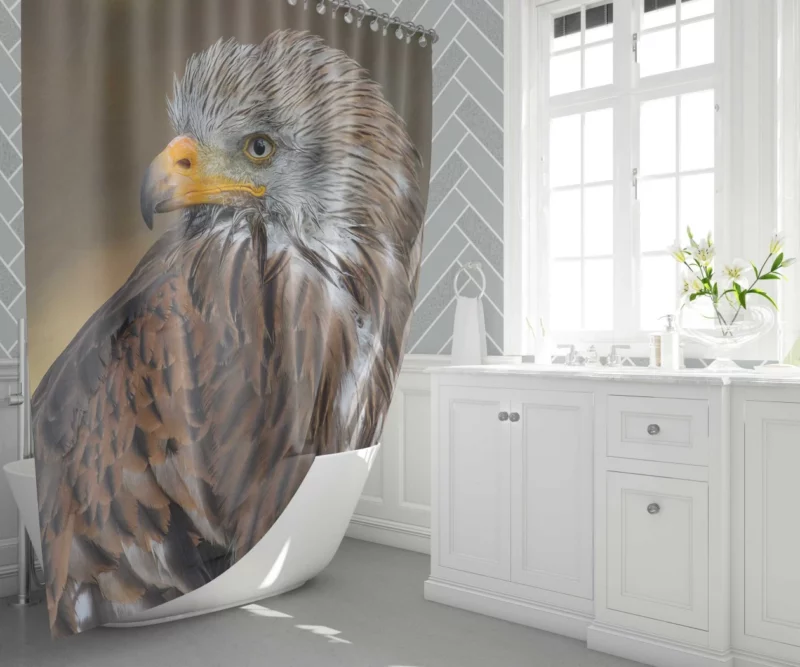 Hawk Fierce Gaze Aerial Dominance Shower Curtain 1