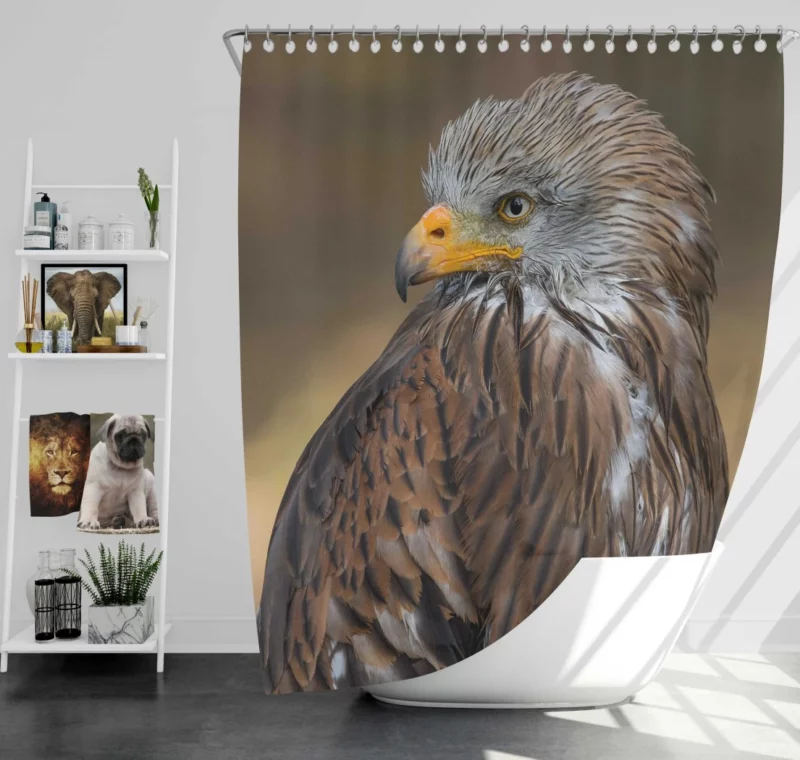 Hawk Fierce Gaze Aerial Dominance Shower Curtain