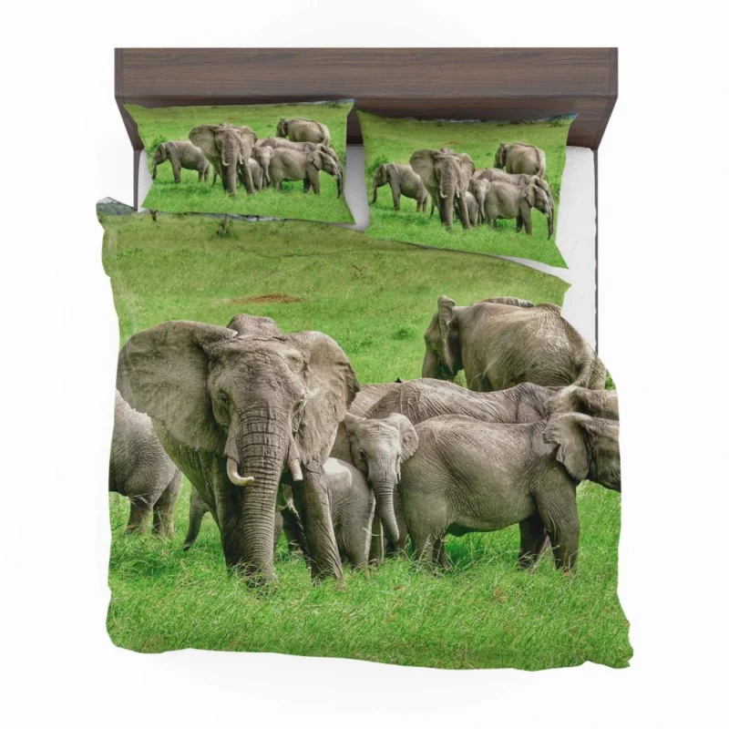 Heartwarming Bond Elephant Unity Bedding Set 1